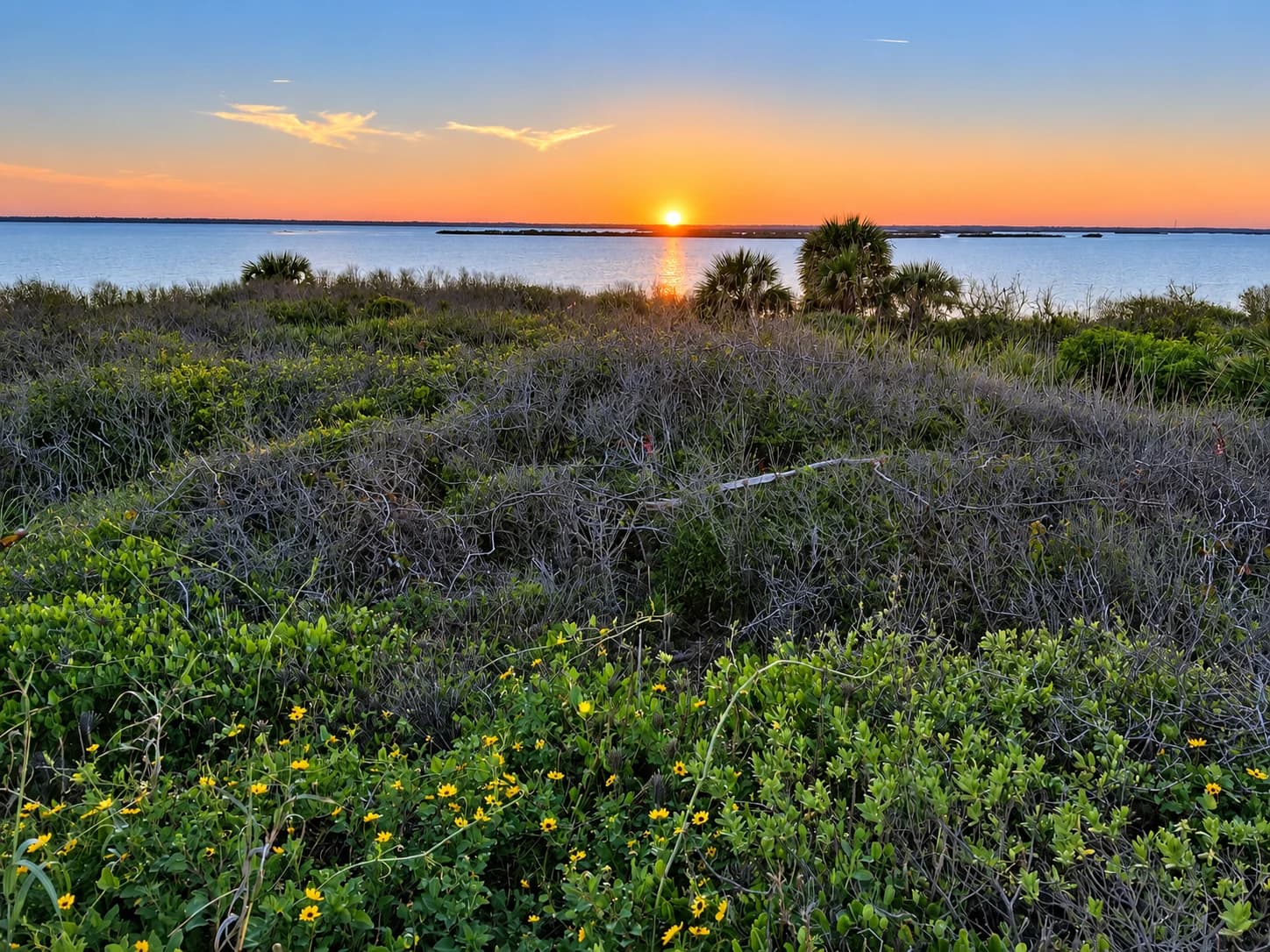 Mosquito Lagoon at Canaveral National Seashore